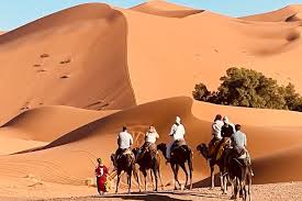 Camel trekking for overnight